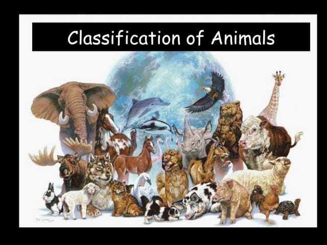 Variety of species of animals around the world