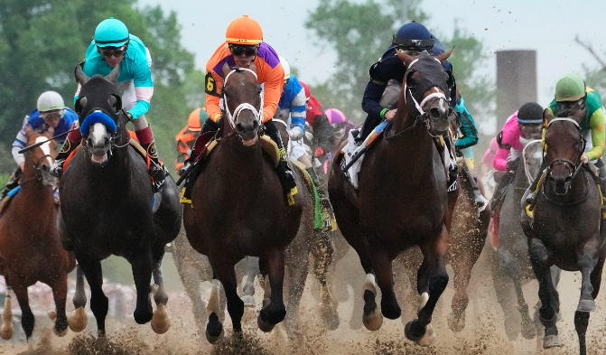 Picture of derby race horses