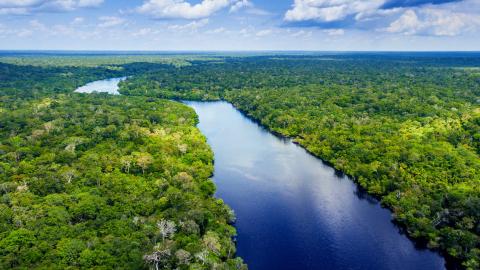 rainforest green trees with the blue Amazon running down the middle