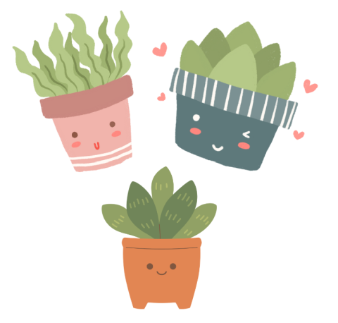 Smiling succulents