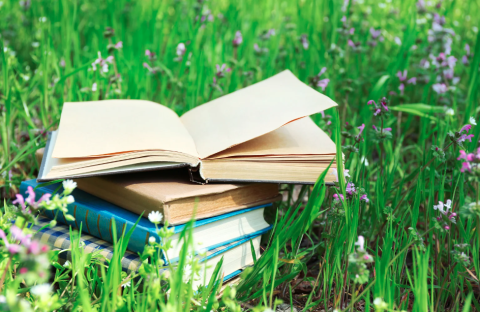 Stack of books lying on grass