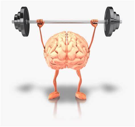 a brain lifting weights