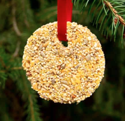 a round ornament made of birdseed