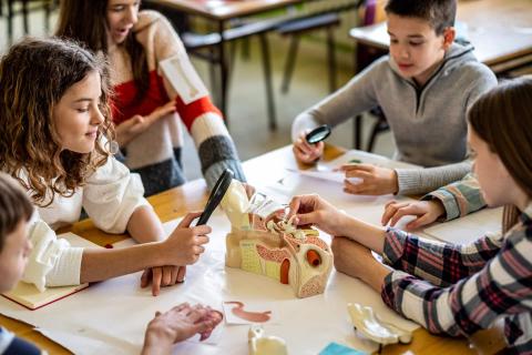 photo of kids around a table examining a plastic model of a stomach