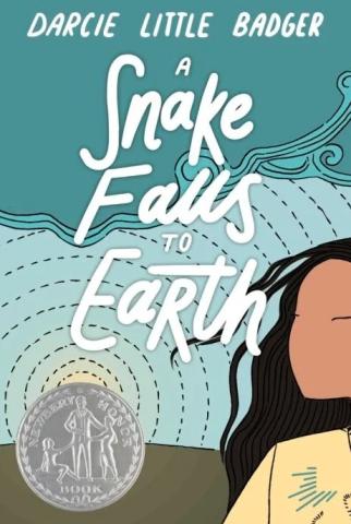 Book cover for 'A Snake Falls To Earth'