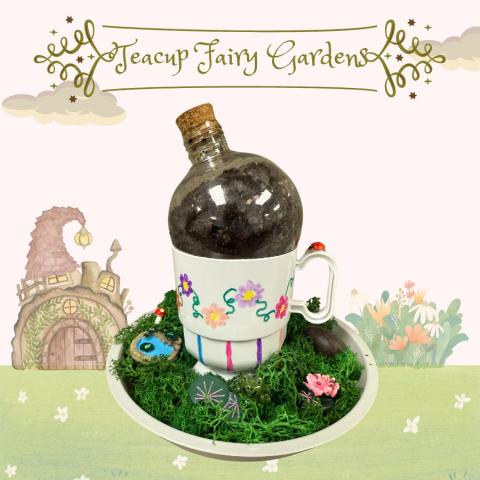 Teacup fairy garden