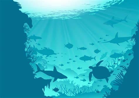 a bunch of fish swimming underwater