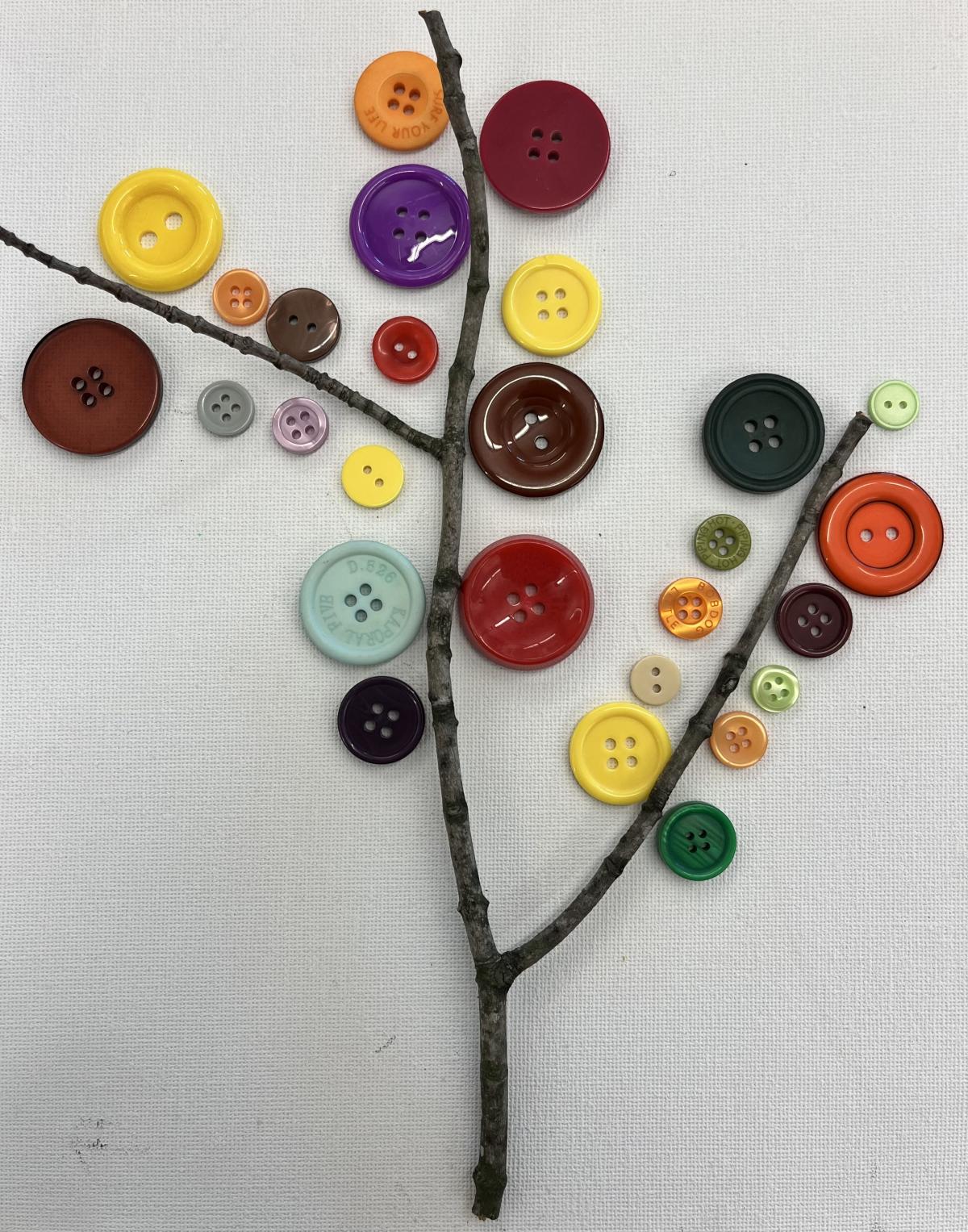 Button leaves on a branch