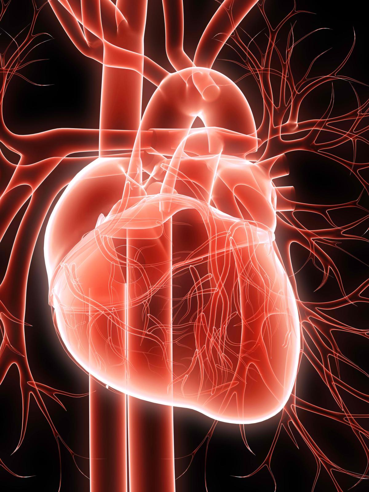 red light image of human heart black background