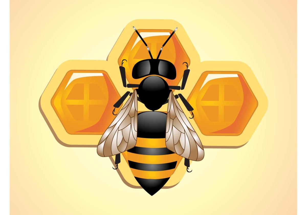 honeybee on honeycomb