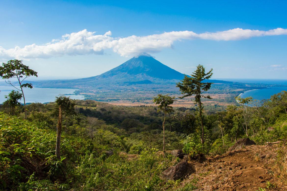 a jungle scene with a volcano in the distance